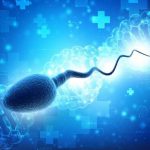 معرفی کیت اختصاصی استخراج DNA از اسپرم